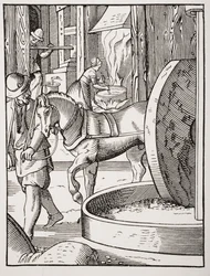 Herstellung von Öl, nach einer Illustration aus dem 16. Jahrhundert, gezeichnet und graviert von Jost Amman (1539-91) aus 